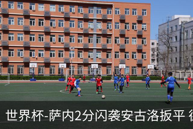 世界杯-萨内2分闪袭安古洛扳平 德国半场1-1厄瓜多尔